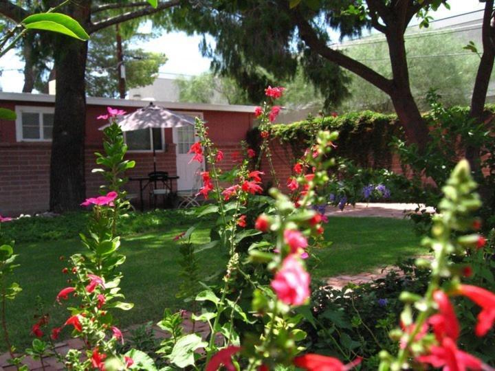 טוסון Mon Ami Bed And Breakfast חדר תמונה